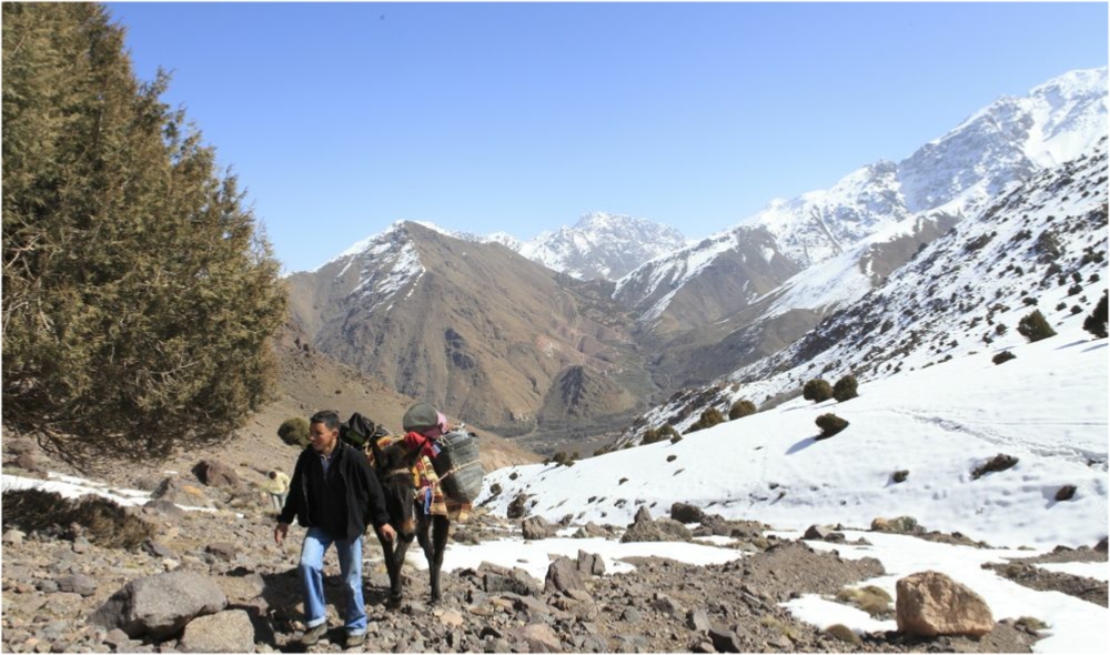 Atlas treks and hikes